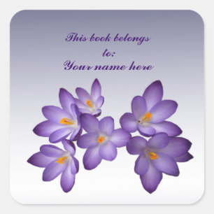 Adesivo Quadrado Bookplate roxo do açafrão