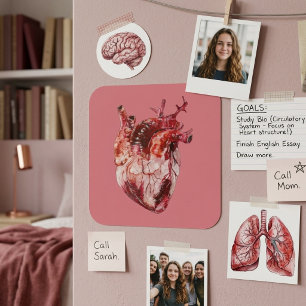 Adesivo Quadrado Boot Star Sticker