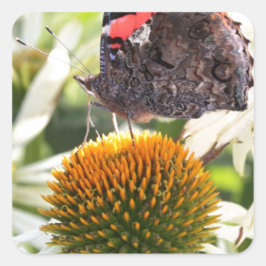 Adesivo Quadrado Borboleta Almirante na Flor