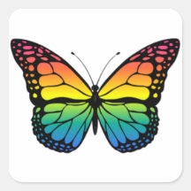 Borboleta arco-íris