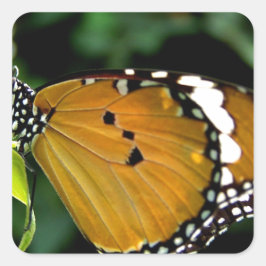 Adesivo Quadrado Borboleta branca, cor-de-laranja, preta e branca,