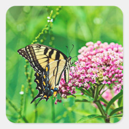Adesivo Quadrado Borboleta do Swallowtail do Tigre Oriental