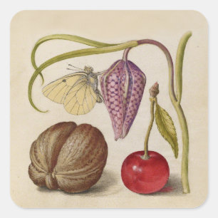 Adesivo Quadrado Borboleta Flor de Noz Flor, Cereja, Aquarela