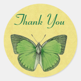 Adesivo Quadrado Borboleta verde e amarela Vintage Obrigado V29