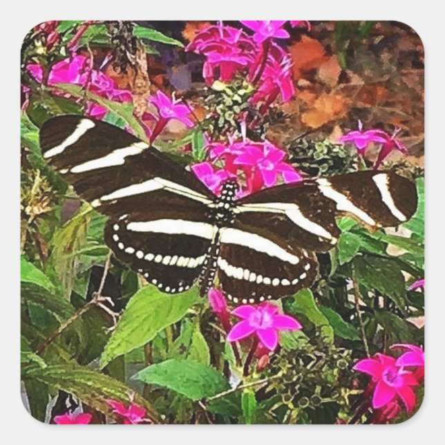 Adesivo Quadrado Borboleta Zebra Longwing (Frente)