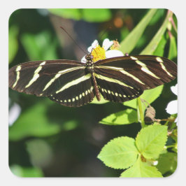 Adesivo Quadrado Borboleta Zebra Longwing