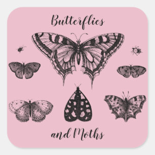 Adesivo Quadrado Borboletas e Mariposas Impressão Vintage