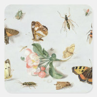 Borboletas, mariposas e outros insetos