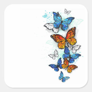 Adesivo Quadrado Borboletas voadoras Morpho e Monarca