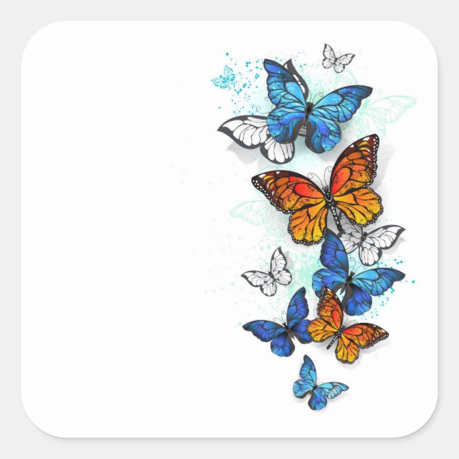 Adesivo Quadrado Borboletas voadoras Morpho e Monarca (Frente)