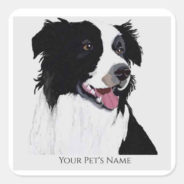 Adesivo Quadrado Borda Collie Black and White Pet Dog- (Frente)