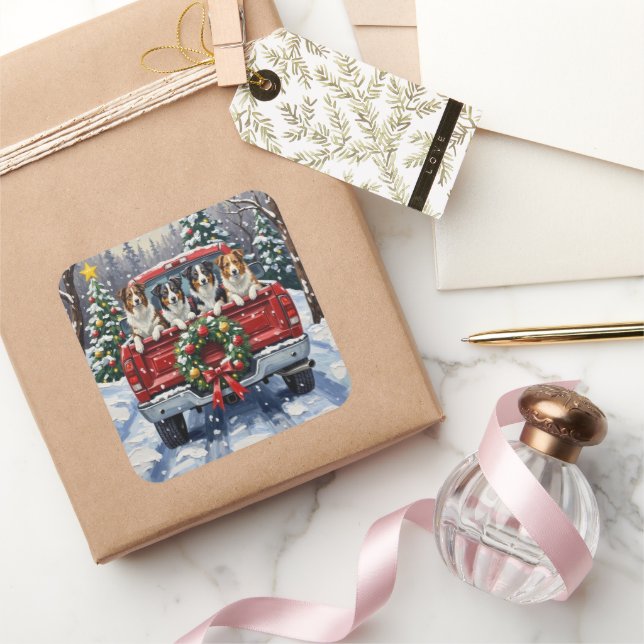 Adesivo Quadrado Border Collie Christmas Red Truck Holiday (Presentear)