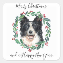 Border Collie Elegant Dog Feliz Natal