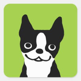 Adesivo Quadrado Boston Terrier - Cachorro Fofo