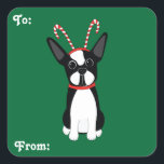 Adesivo Quadrado Boston Terrier Christmas Gift Stickers<br><div class="desc">Boston Terrier com uma banda de canas doce de cabeça de Natal com palitos de presentes! Estes adesivos são personalizáveis.</div>