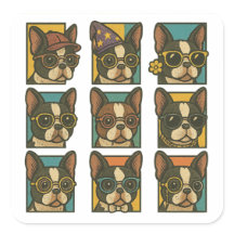 Boston Terrier Trendsetters