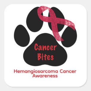 Adesivo Quadrado Botão de Conscientização sobre Hemangiossarcoma Ca