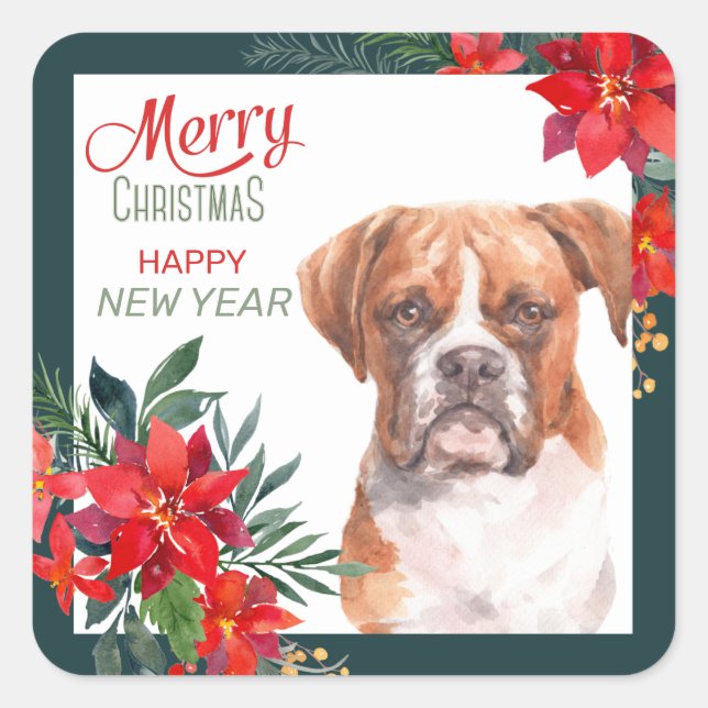 Adesivo Quadrado Boxer Dog Poinsettia Border Christmas (Frente)
