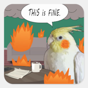 Adesivo Quadrado Brássaro Cockatiel Engraçado Este é o Pássaro 