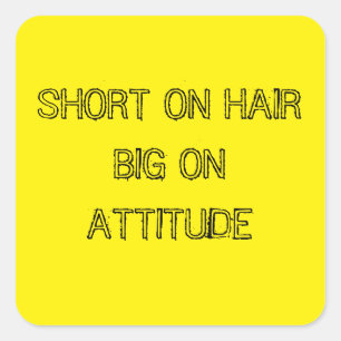 ADESIVO QUADRADO BREVE NO CABELO, GRANDE NO ATITUDOR