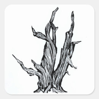 Adesivo Quadrado Bristlecone Pine