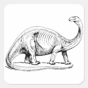 Adesivo Quadrado Brontosaurus