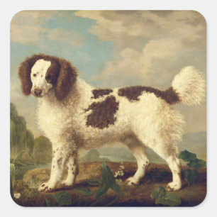 Adesivo Quadrado Brown and White Norfolk or Water Spaniel, 1778 (oi