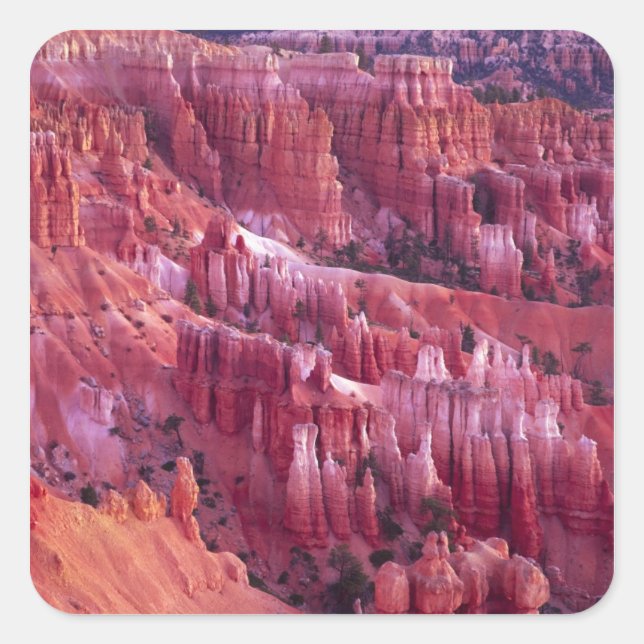 Adesivo Quadrado Bryce Canyon, Utah, EUA (Frente)