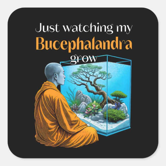 Adesivo Quadrado Bucephalandra Zen – A Meditative Aquascaping (Frente)
