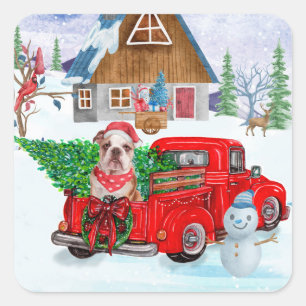 Adesivo Quadrado Bulldog Inglês em Caminhão de Entrega de Natal na