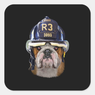 Adesivo Quadrado Bulldog Inglês Grumpy Vestindo Helmet para Bombei
