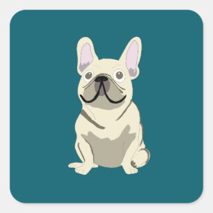 Adesivo Quadrado Bulldogue Francês Creme