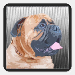 Adesivo Quadrado Bullmastiff