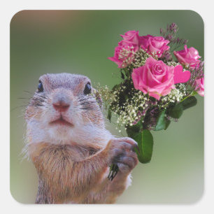 Adesivo Quadrado Buquê da marmota