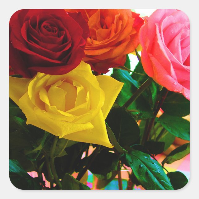 Adesivo Quadrado buquê de flores de rosa (Frente)