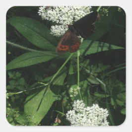 Adesivo Quadrado Butterfly Sticker