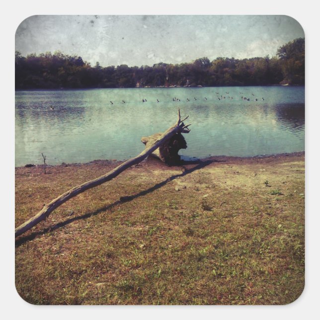 Adesivo Quadrado Cabeça (Frente)