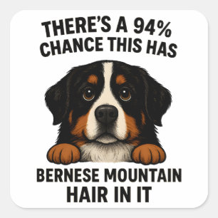 Adesivo Quadrado Cabelo de Cão de Montanha Bernês Em Tudo Engraçado