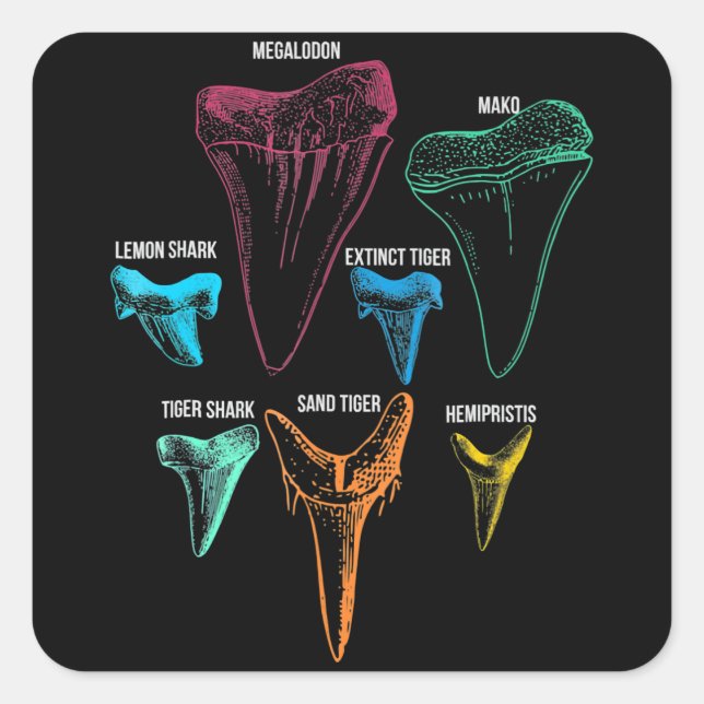 Adesivo Quadrado Caça aos dentes de tubarão - Presentes de tubarão  (Frente)