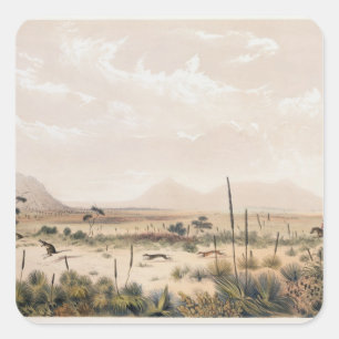 Adesivo Quadrado Caça do canguru