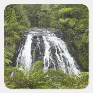 Adesivo Quadrado Cachoeira Owharoa, Karangahake Gorge, perto de Pae