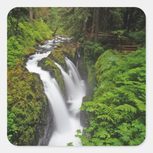 Adesivo Quadrado Cachoeira Sol Duc no Parque Nacional Olímpico em