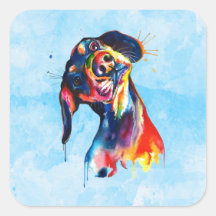 Cachorro