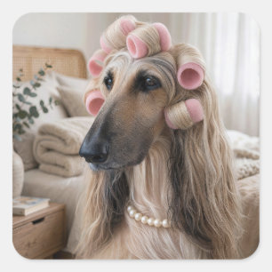 Adesivo Quadrado Cachorro Afegão Usando Rolo de Espuma Cor-de-Rosa