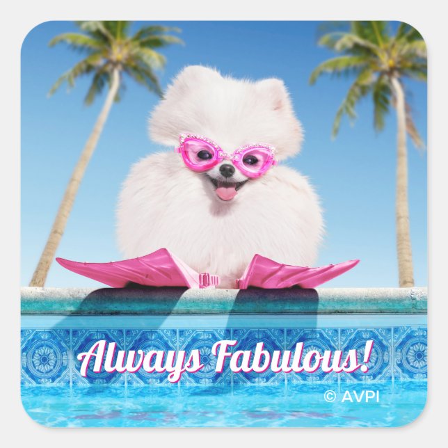 Adesivo Quadrado Cachorro Ao Lado De Pólvora (Frente)