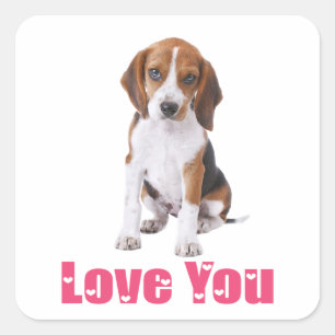 Adesivo Quadrado Cachorro Beagle Fofo Amor Você
