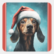 Cachorro Bonito Vestindo Natal Hat Dachshund Natal