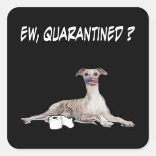 Adesivo Quadrado Cachorro Borrão Cachorro Bantado Vestindo Uma Másc