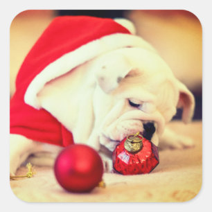Adesivo Quadrado CACHORRO COM Papai Noel
