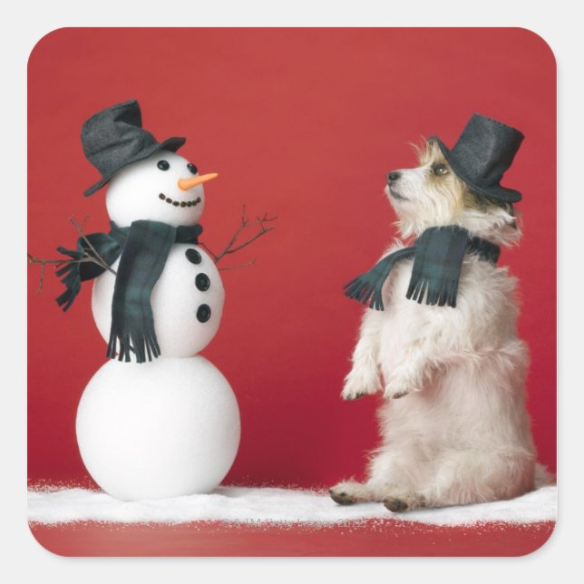 Adesivo Quadrado Cachorro e boneco de neve (Frente)